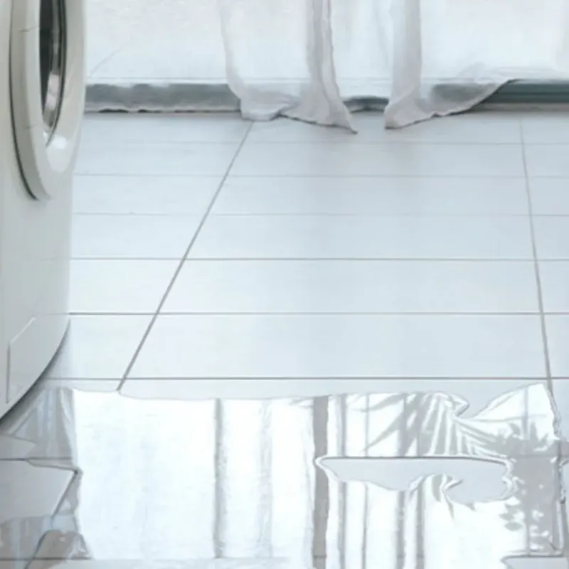 Appliance Leak Cleanup in Royal Palm Beach, FL